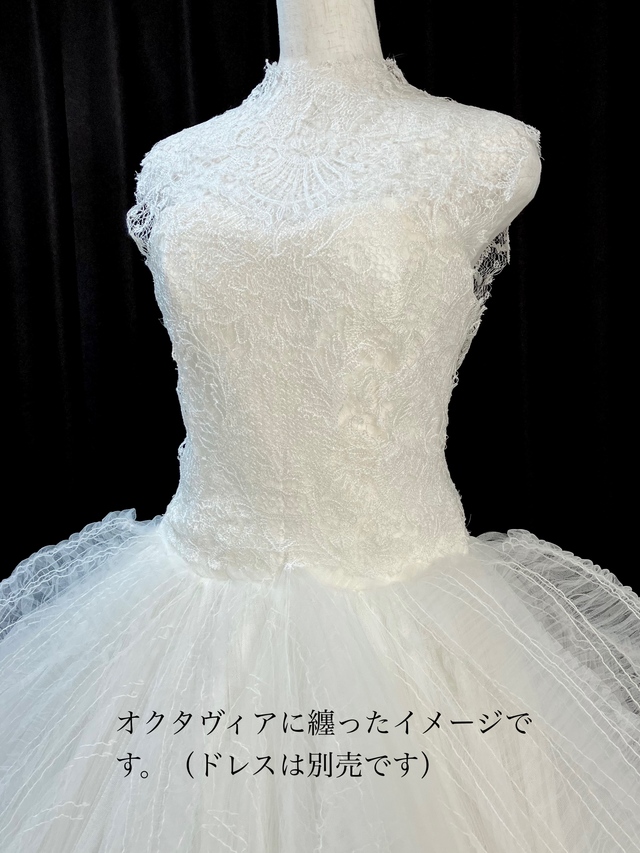 オーナー様はこのようにオクタヴィアに着用してご利用されていました。ヴェラウォンアカシアのイメージにも近い雰囲気もあり、2パターンの異なるイメージを演出できるアイテムです。<br />(画像のオクタヴィアは別販売です)