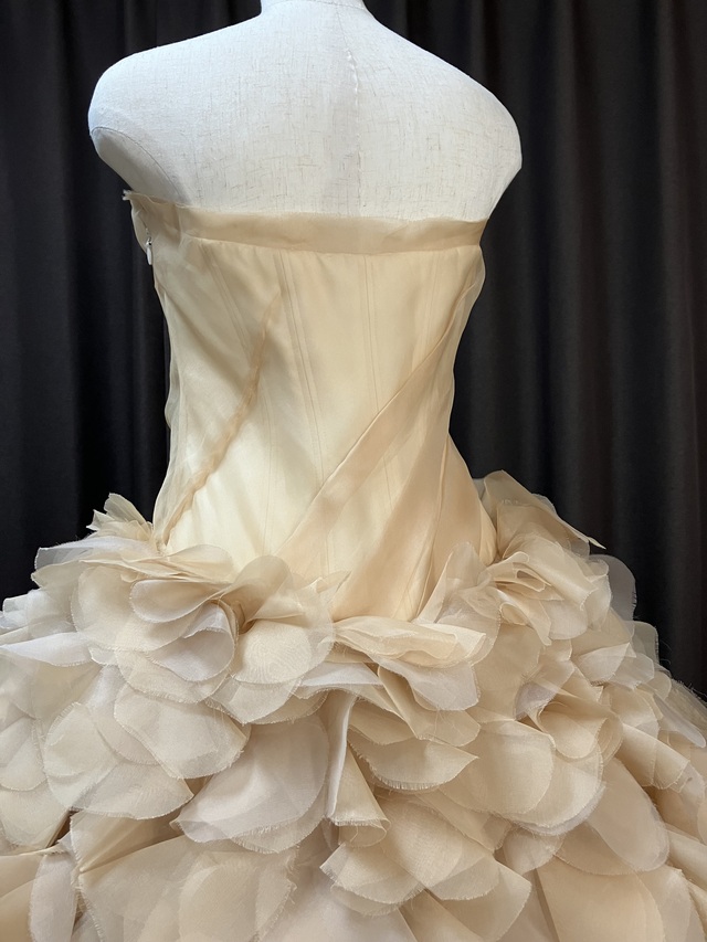 背中のアップです。