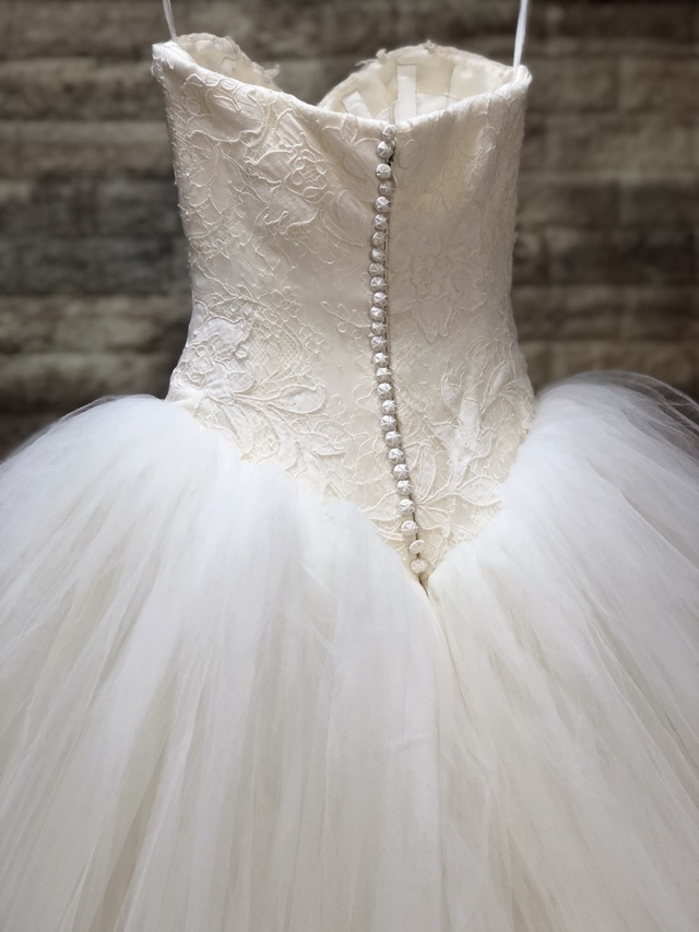 背中のアップです。