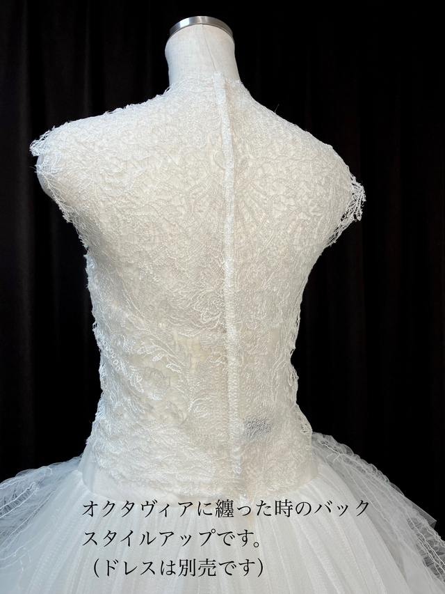 オクタヴィアに纏った時のバックスタイルです。<br />(画像のオクタヴィアは別販売です。)