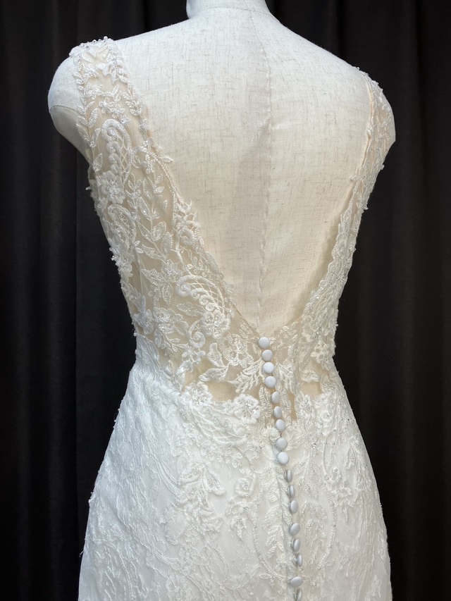 背中のアップです。