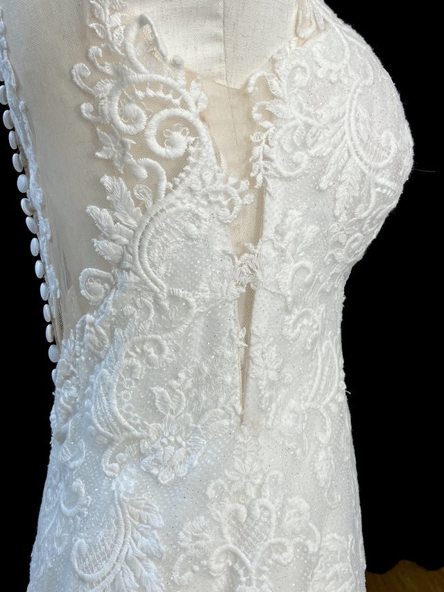 横からのアップです。