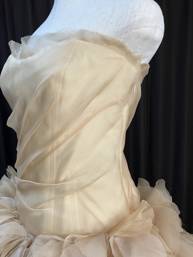 左側ビスチェアップです。フリルの高さも十分あります。