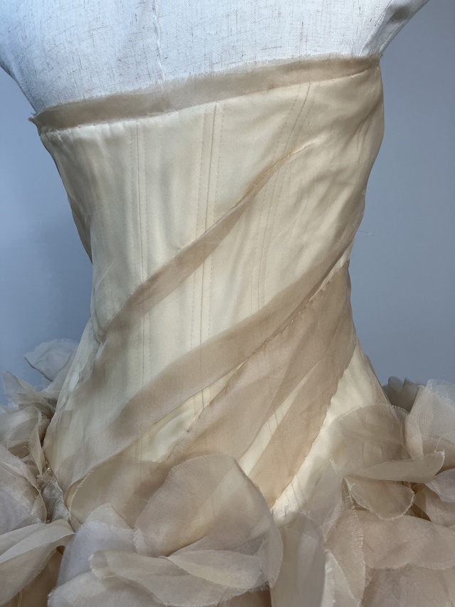 背中のアップです。