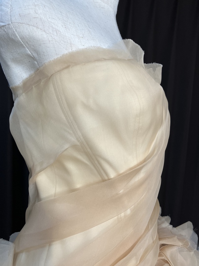 右側ビスチェアップです。