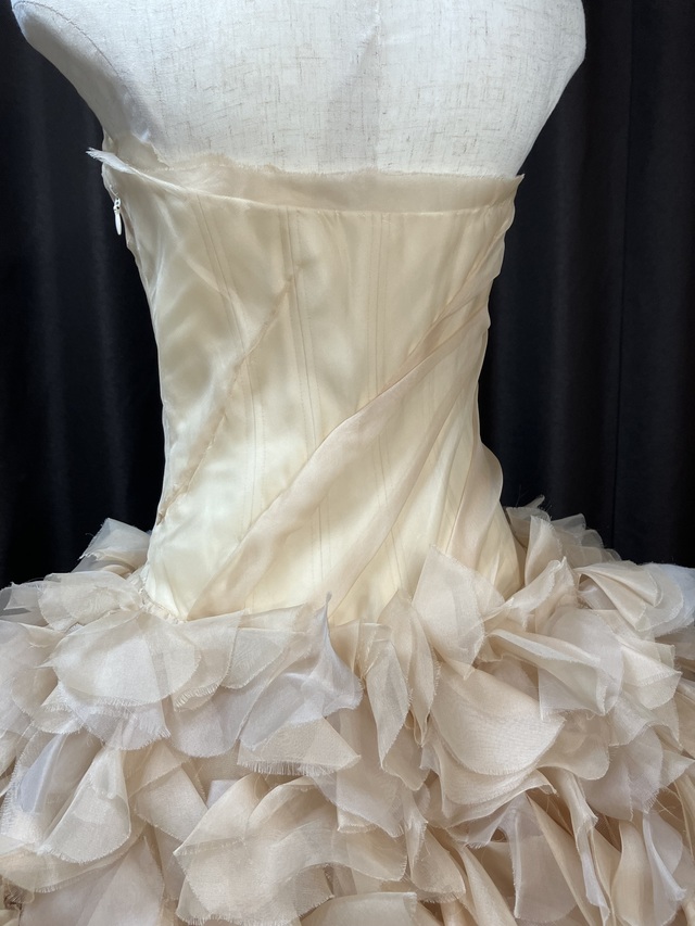 背中のアップです。